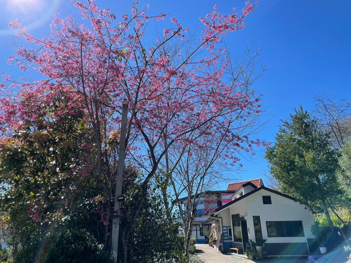 Julie'S Garden, Cingjing - Fon Chin Homestay Ренай Екстериор снимка